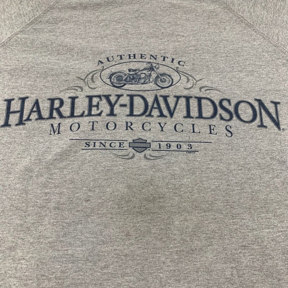 2010s Harley-Davidson Rome New York Dick's Motorcycle Faux Layered Overs… - Picture 10 of 16